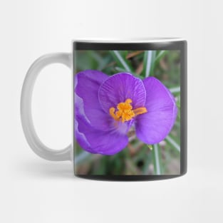 Purple and Orange Flower 2 Mug